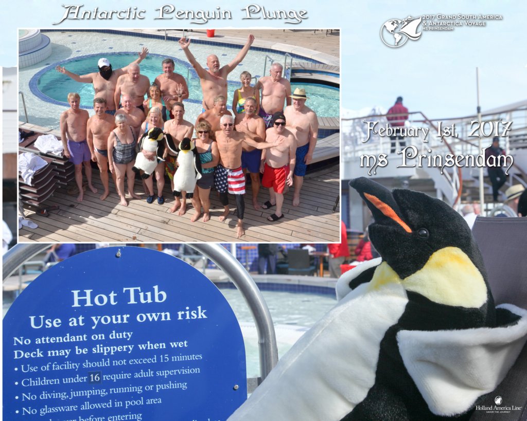 penguinplunge.jpg