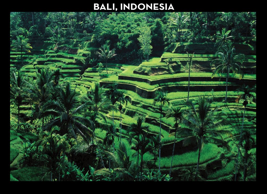 bali.jpg