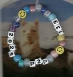 alpalcaarmcandy_small.jpg