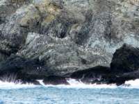 _035558r_small.jpg