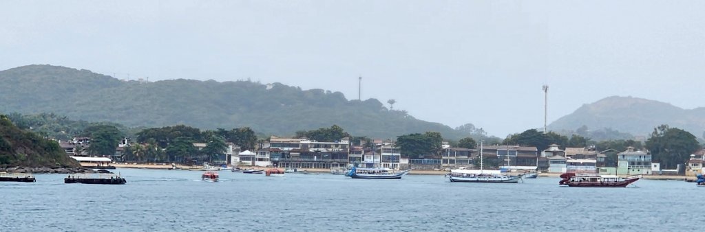 _081129r.jpg