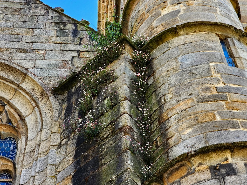 _104155r.jpg