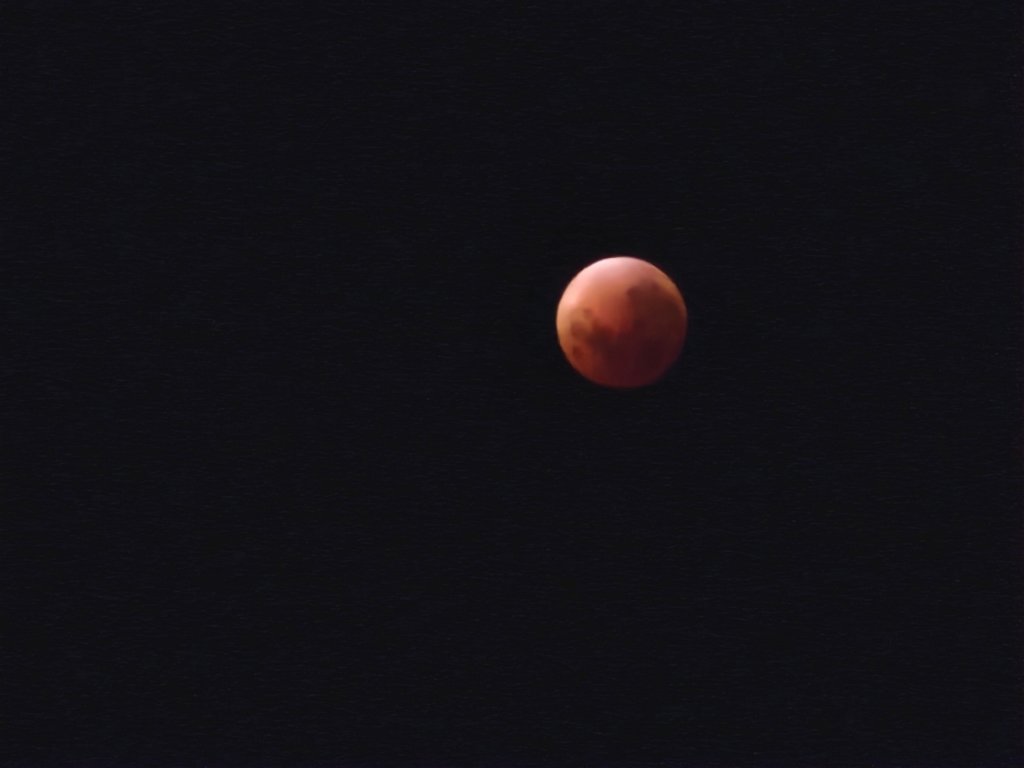 _002905.jpg