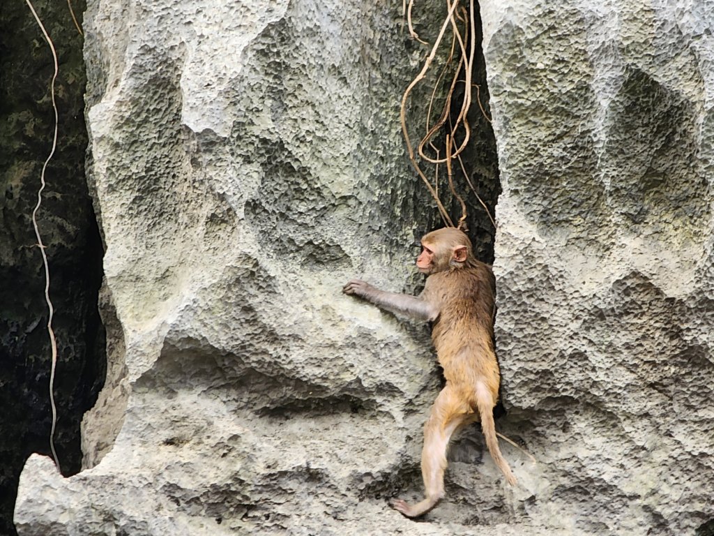 _121359.jpg